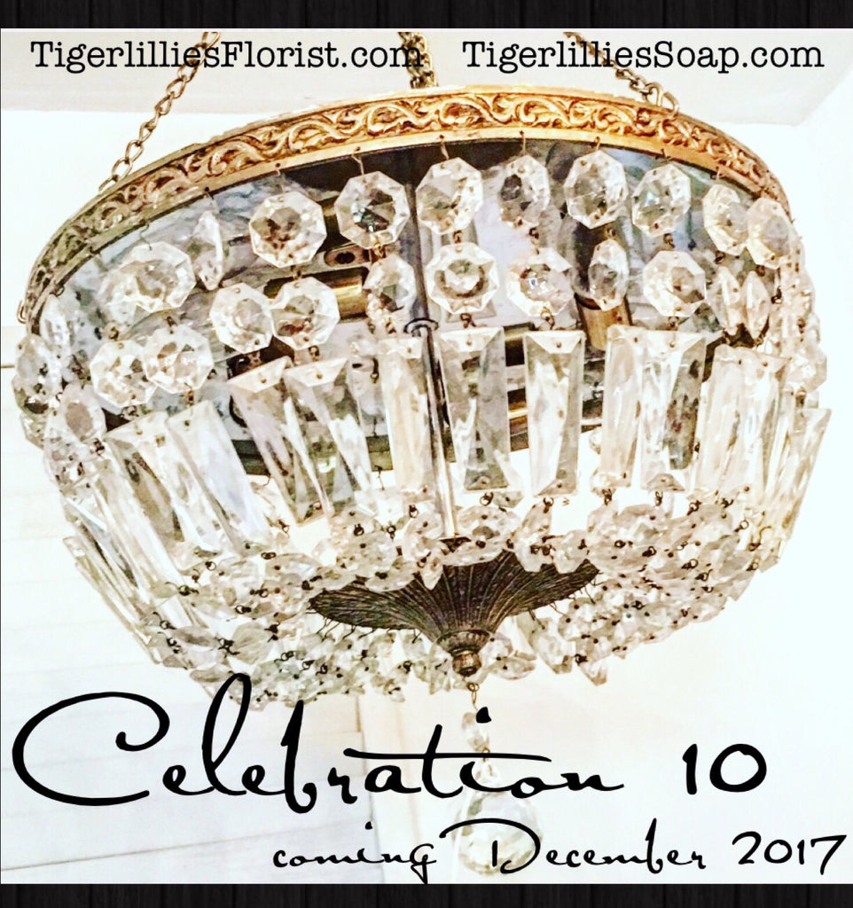 Tigerlillies Soap Launches as we Celebrate 10 YEARS!